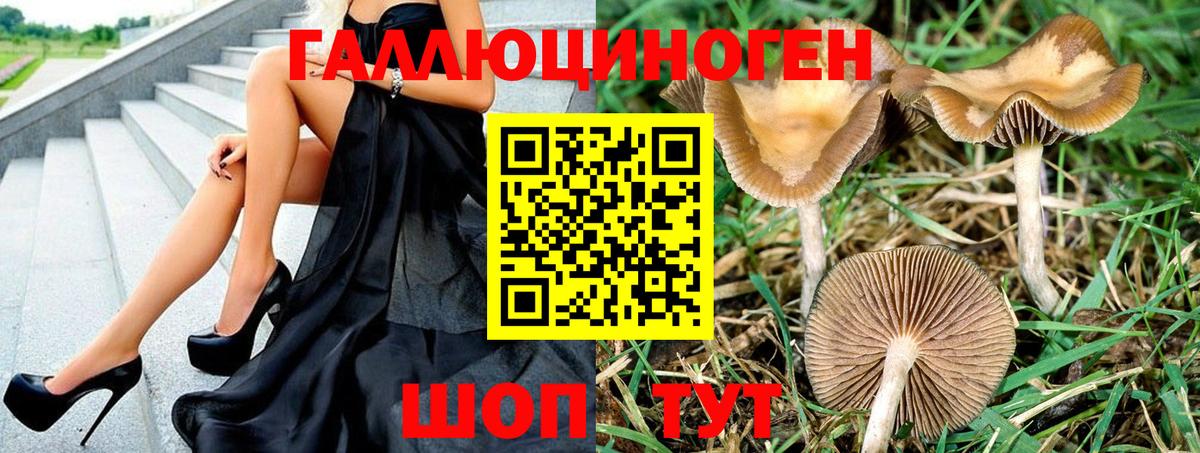 Галлюциногенные грибы GOLDEN TEACHER Миасс