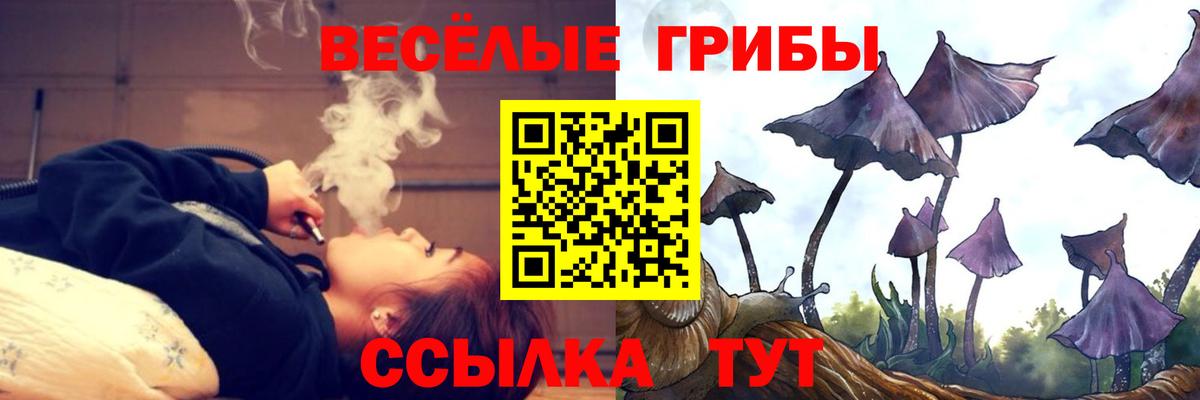 Миасс  Галлюциногенные грибы мухоморы  Вход с VPN  Галлюциногенные грибы ЛСД 